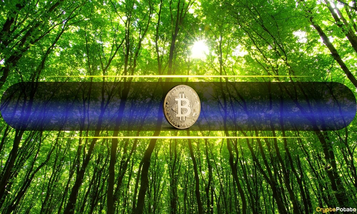 Why Did the Bitcoin Price Suddenly Spike Toward $73K?