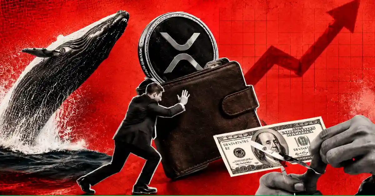 XRP Price Today: Whales Accumulate 72 Million XRP As Price Falls