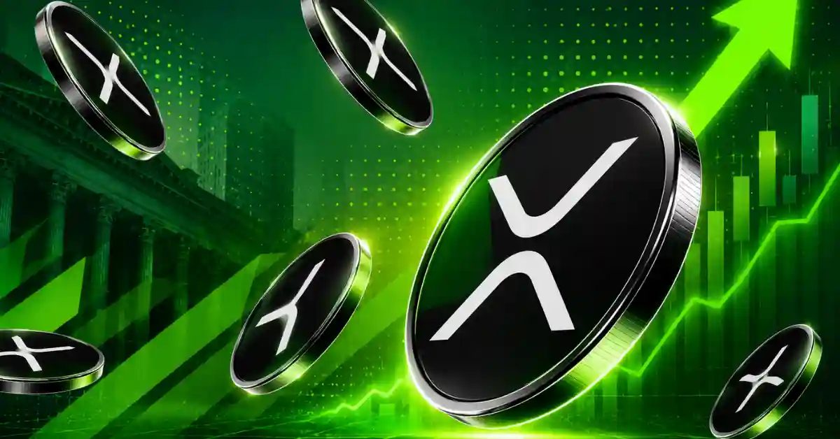 XRP Rich List Update September 2026: How Much XRP Do You Need to Be in the Top 10%?